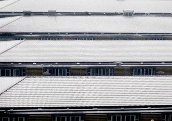 红屋顶与白屋顶2