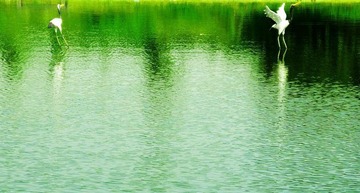 水光滟潋晴方好
