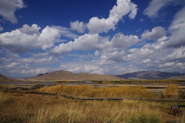 IMGP2053a