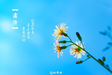 2370582