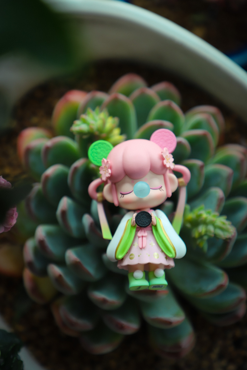 nanci囡茜奥利奥联名款