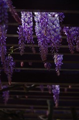F705639D-E1FD-4E03-8208-F10AB56D5719/L0/001