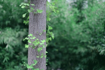 DSCF7145-2