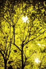 DSCF7587后期