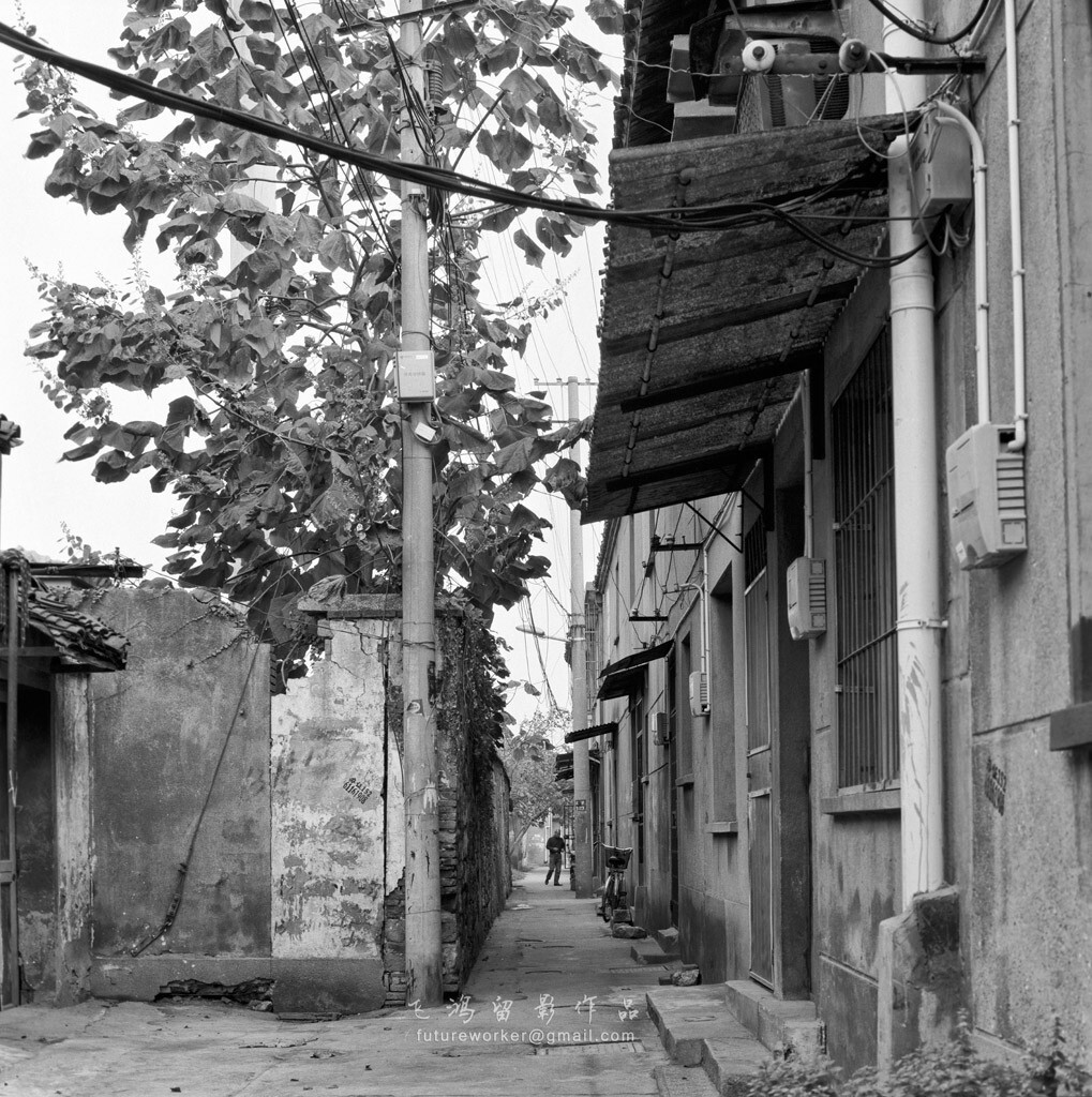 Hasselblad 503CW;CFE Planar T*80/2.8;Fomapan 100
