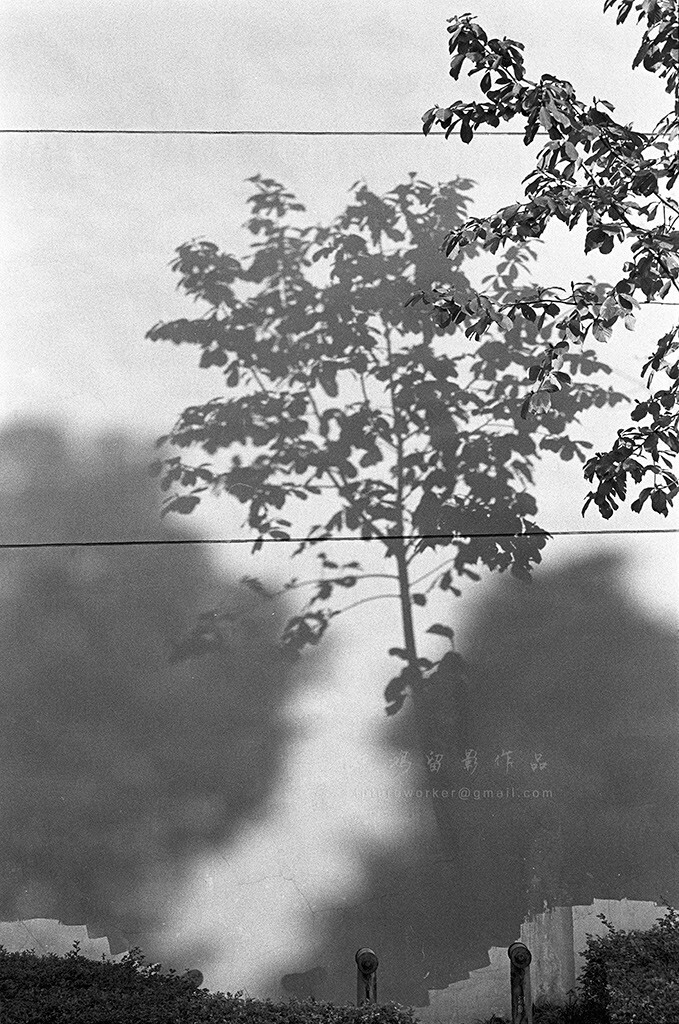 2015/11/28;杂片;Leica M7;Summilux-M1,4/50mm ASPH;Kodak Double-X5222;D76 1+1自冲
