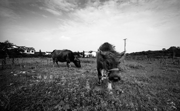 L1005642-副本fb1.jpg