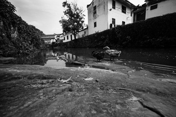 L1005598-副本fb1.jpg