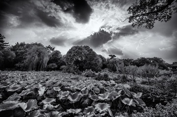 L1005938-fb1