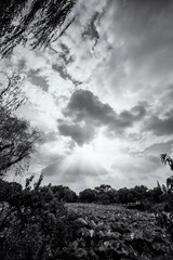 L1005940fb1