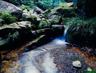 IMG507fb1.jpg