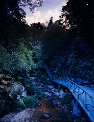 IMG508fb1.jpg