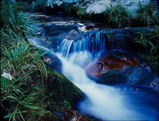IMG512fb1.jpg