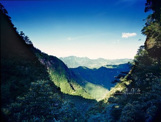IMG513fb1.jpg