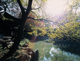 IMG1186fb1