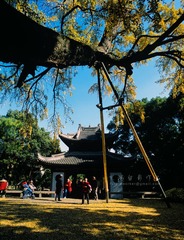 IMG1191fb1