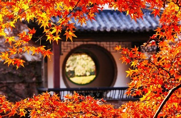 _MG_6107fb1