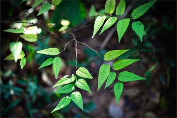 _MG_6123fb1