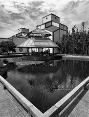 IMG1307fb1