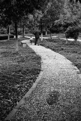 IMG1549fb1