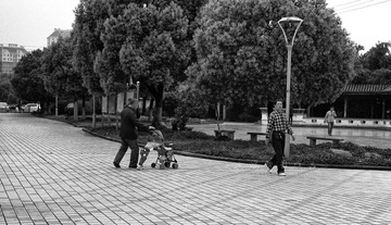 IMG1551fb1