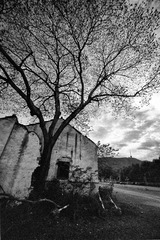 IMG1532fb1