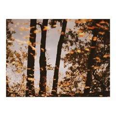 1F2EF5DD-4636-4C32-8D88-37E556131662/L0/001