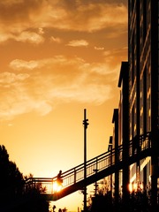 779C3D77-C8E1-4076-A89A-FCEE2FF85C67/L0/001