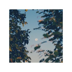 5E7C72D3-573A-47E1-BB68-D3EBB5B9301E/L0/001