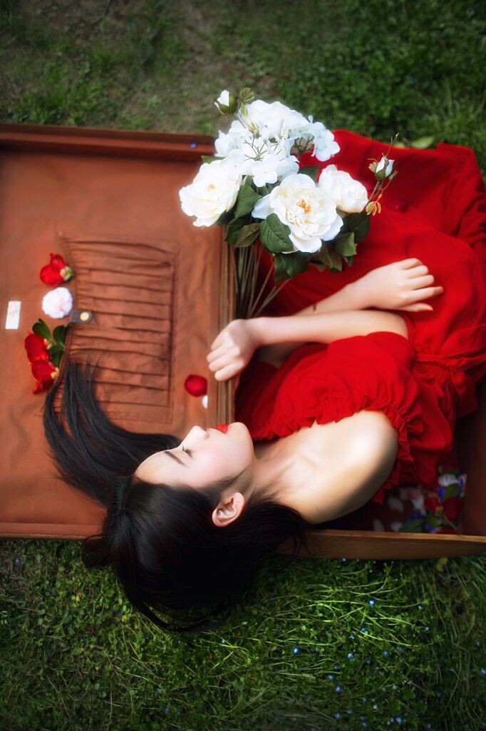 我们总会找到一个这样的角落，妥贴的安放所有易逝的韶华