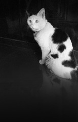 20150515_201014