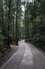 _DSC0248