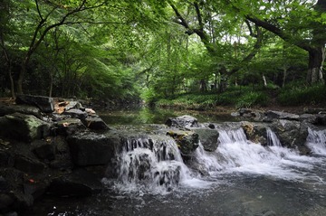 _DSC0290 (2)