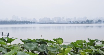 _DSC0387