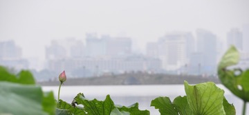 _DSC0391