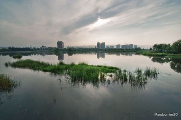湿地