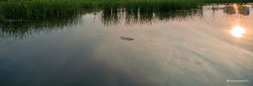 夕阳9