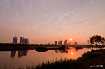 夕阳15