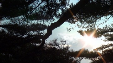 曙光