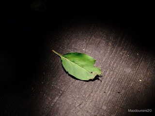 08072011243