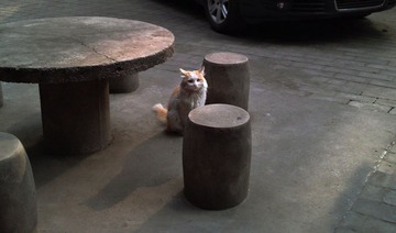 我的地盘