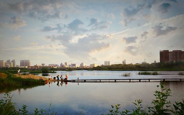 水墨湿地