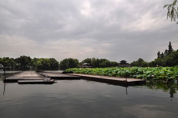 DSC_0258.jpg