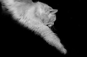 DSC_0074.jpg