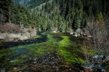 DSC_0521.jpg