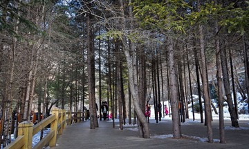 DSC_0425.jpg