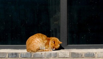 DSC_0021.jpg