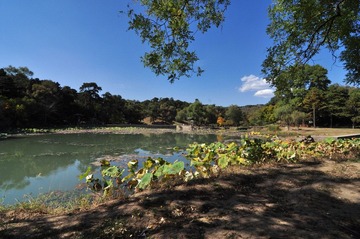 DSC_0668.jpg