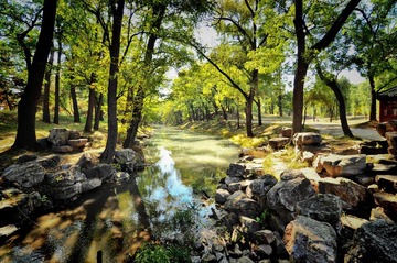DSC_0616.jpg
