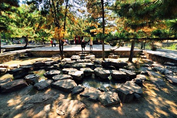DSC_0618.jpg